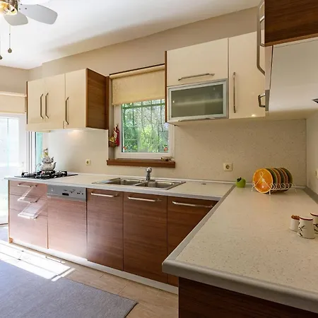 Astonishing Villa Surrounded By Nature In Kartepe * Kocaeli